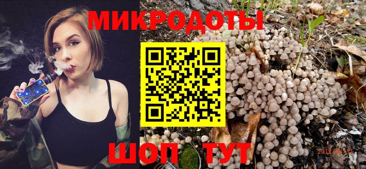 Псилоцибиновые грибы GOLDEN TEACHER Оренбург